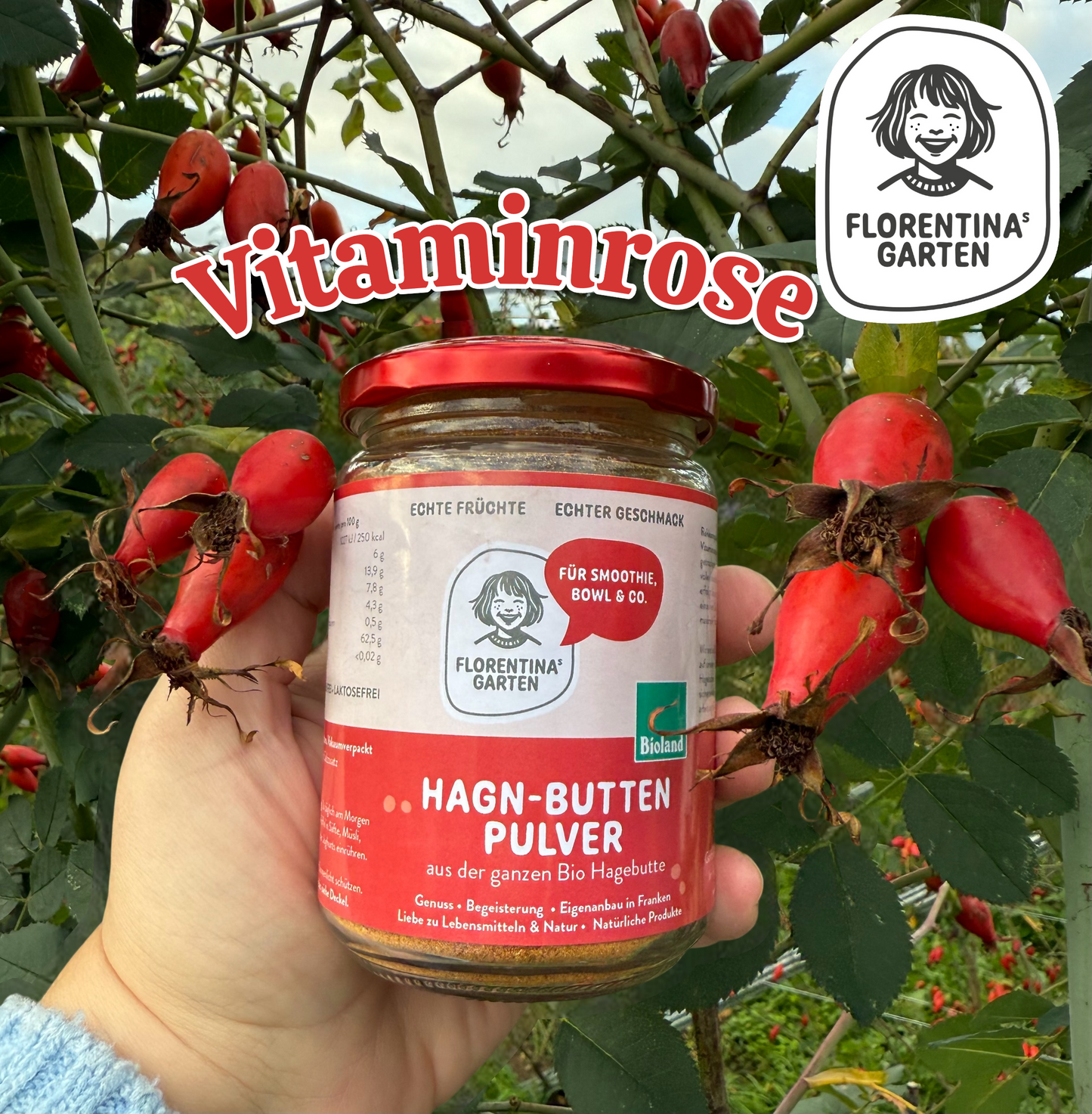 Vitaminrosen Hagn-butten Pulver | 180 g | Bioland