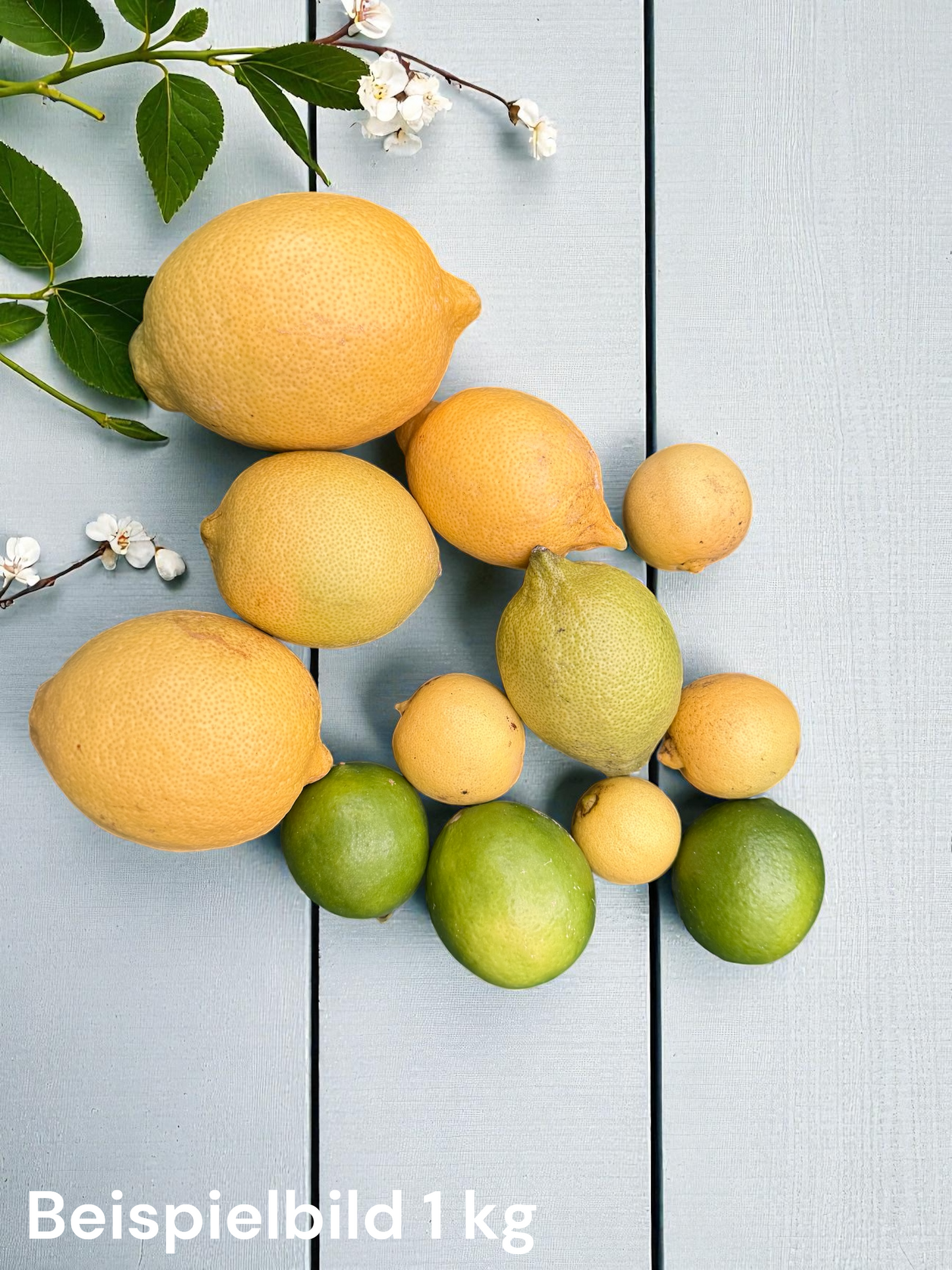 Bioland Zitrusmix gelb 0,5 kg