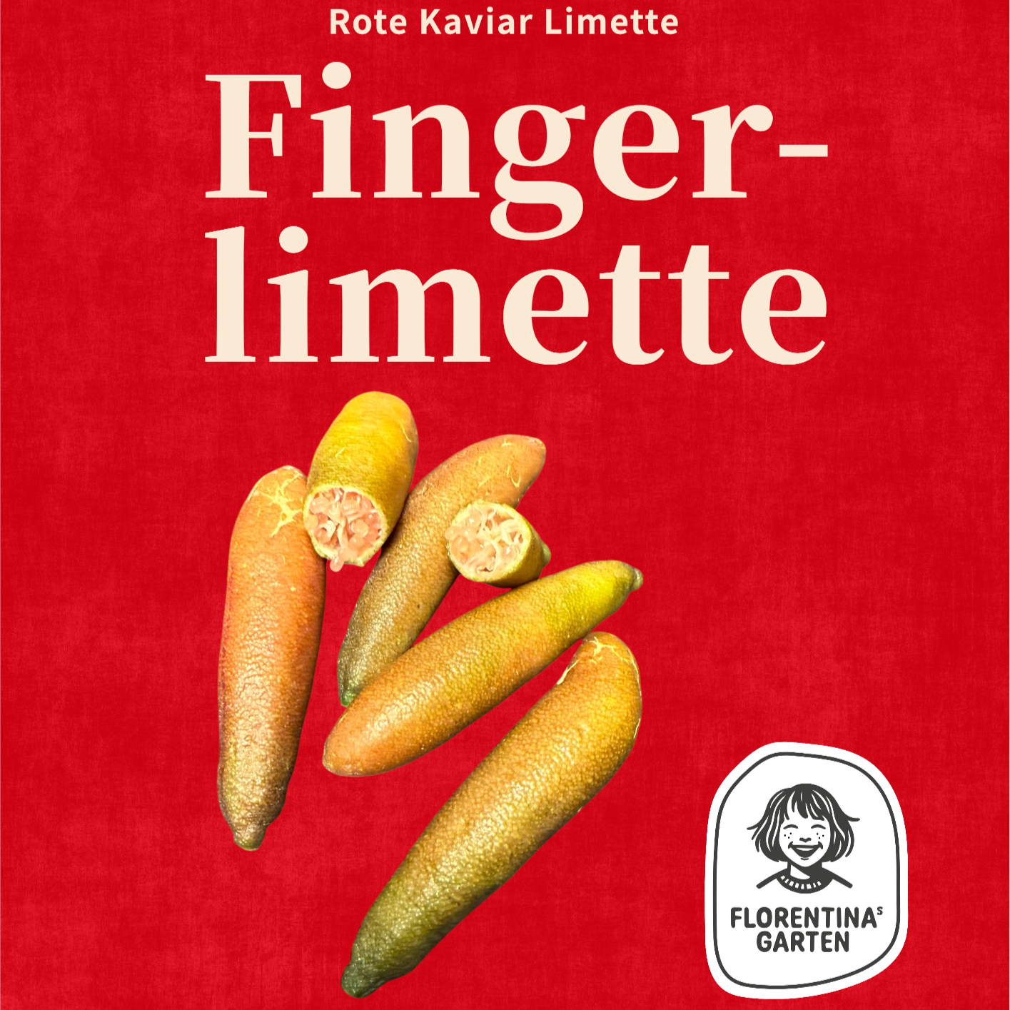 Bioland Finger Limette 1 Stück