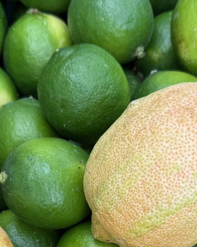 Bioland Tiger Zitrone / Tahiti Limette Mix 0,5 kg